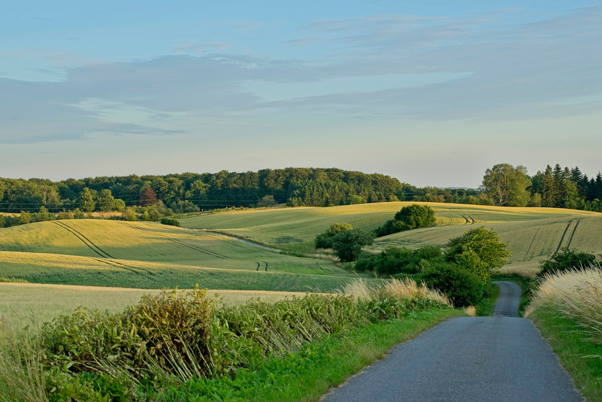 Hügelige Landschaft im Heckengäu mit Hecken, Feldern und einem Dorf